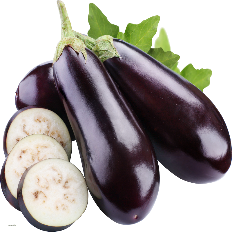 Organic Fresh Eggplant