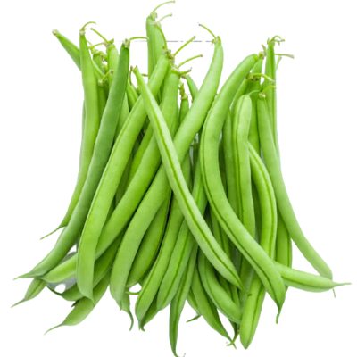 Organic Fresh Green Beans