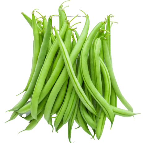 Organic Fresh Green Beans