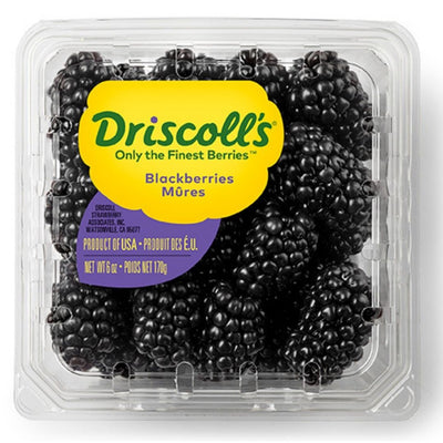 Organic Fresh Blackberry Driscolls 170G