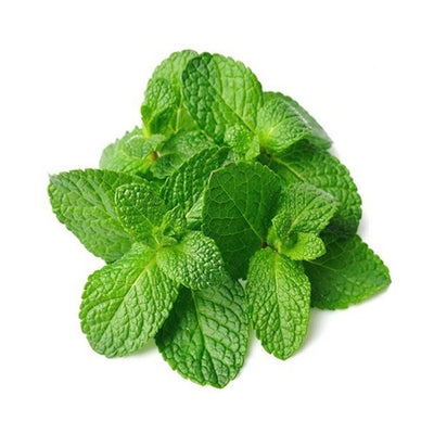 Organic Fresh Mint Pre Packed 150G