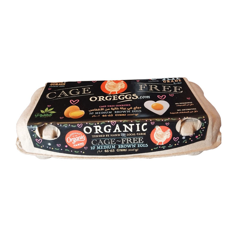 Organic Eggs 10&