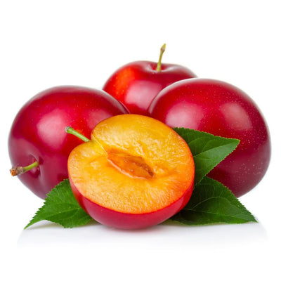 Organic Fresh Plums Red