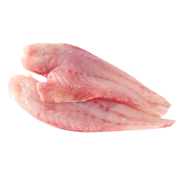 Fresh Organic Hamour Fish Fillet