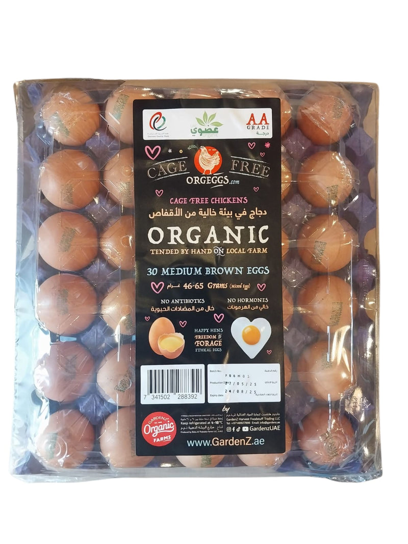 Organic Eggs 30&