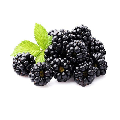 Organic Fresh Blackberry 170g