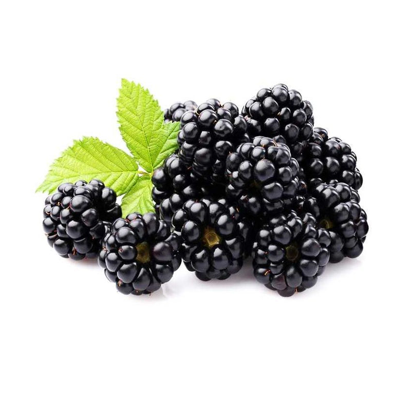 Organic Fresh Blackberry 170g