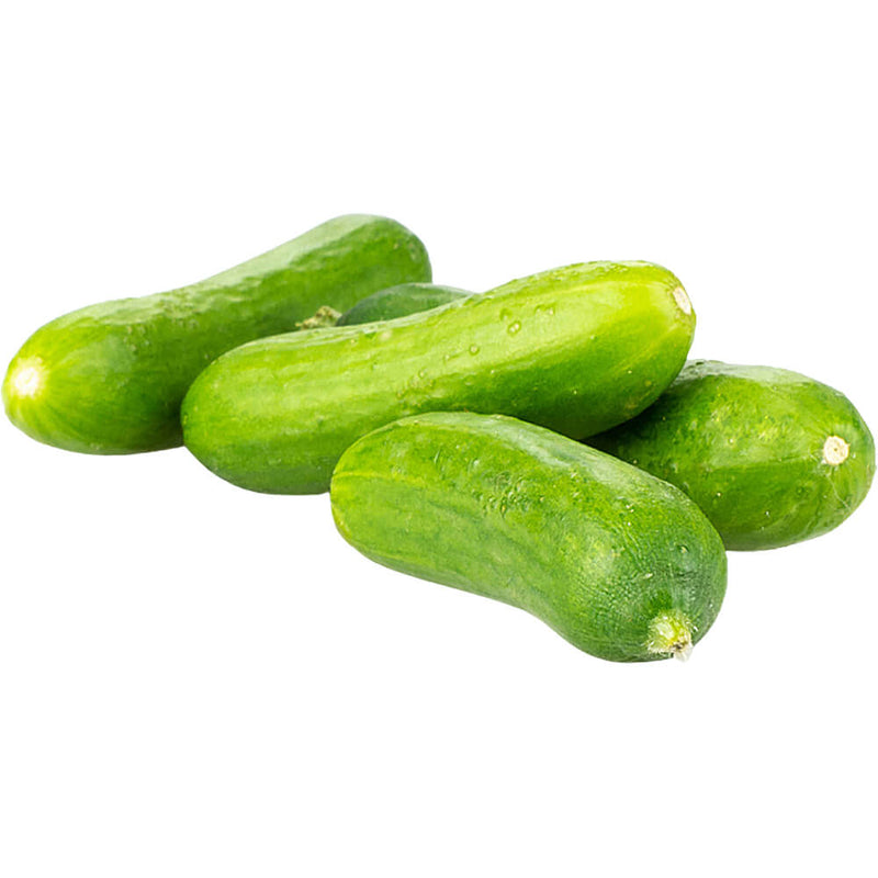 Organic Snack Cucumber