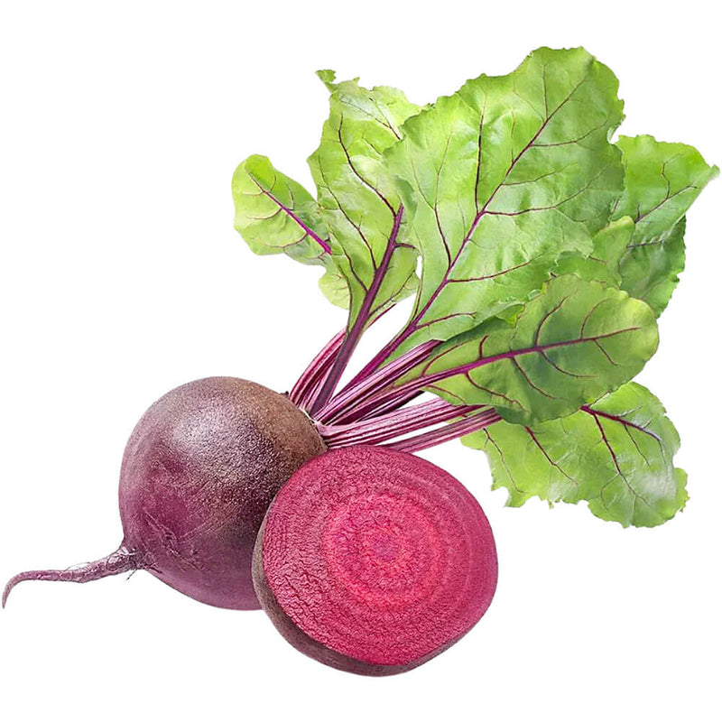 Organic Fresh Beetroot