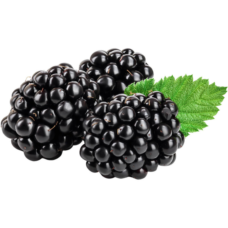 Organic Fresh Blackberry 170g