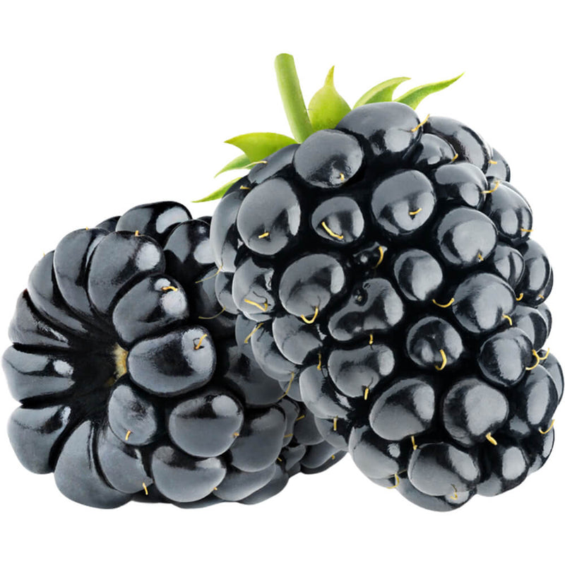 Organic Fresh Blackberry Driscolls 170G