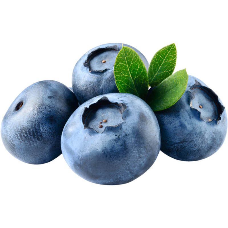 Organic Fresh Blueberry 170G
