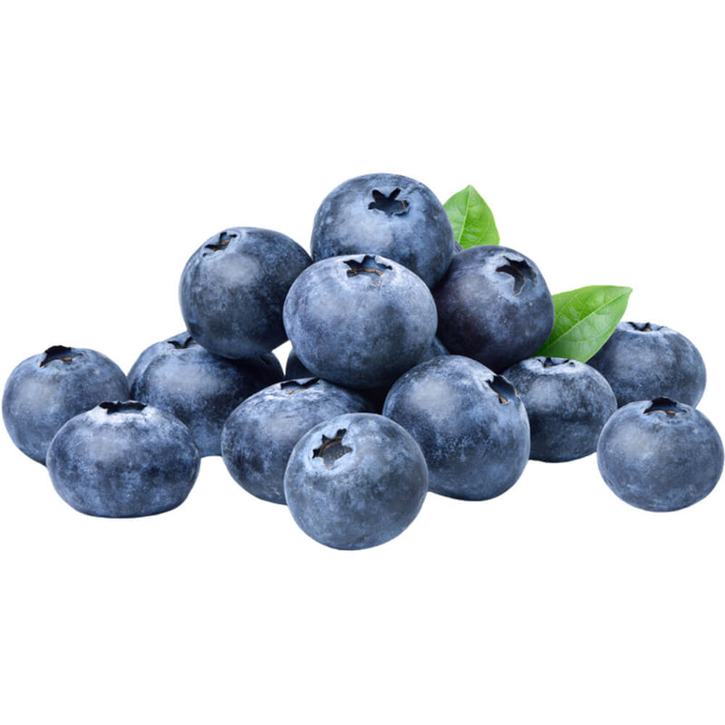 Organic Fresh Blueberry 170G