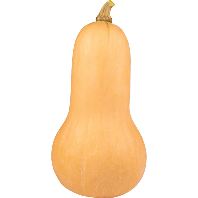 Organic Fresh Pumpkin Butternut