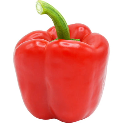 Organic Fresh Capsicum Red