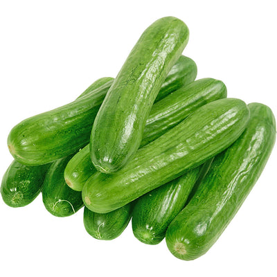 Organic Fresh Cucumber