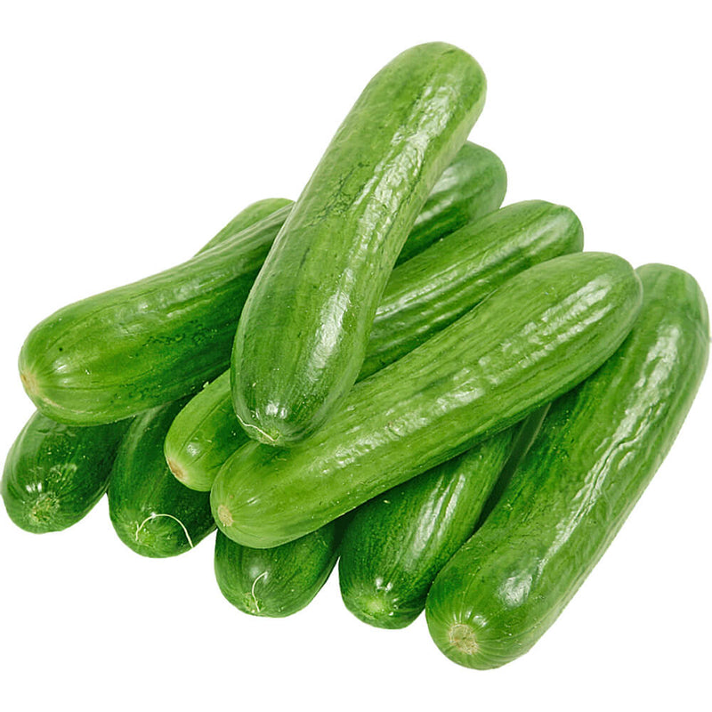 Organic Fresh Cucumber