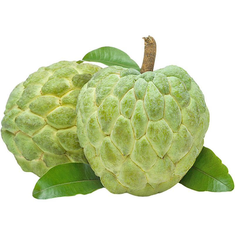 Organic Fresh Custard Apple
