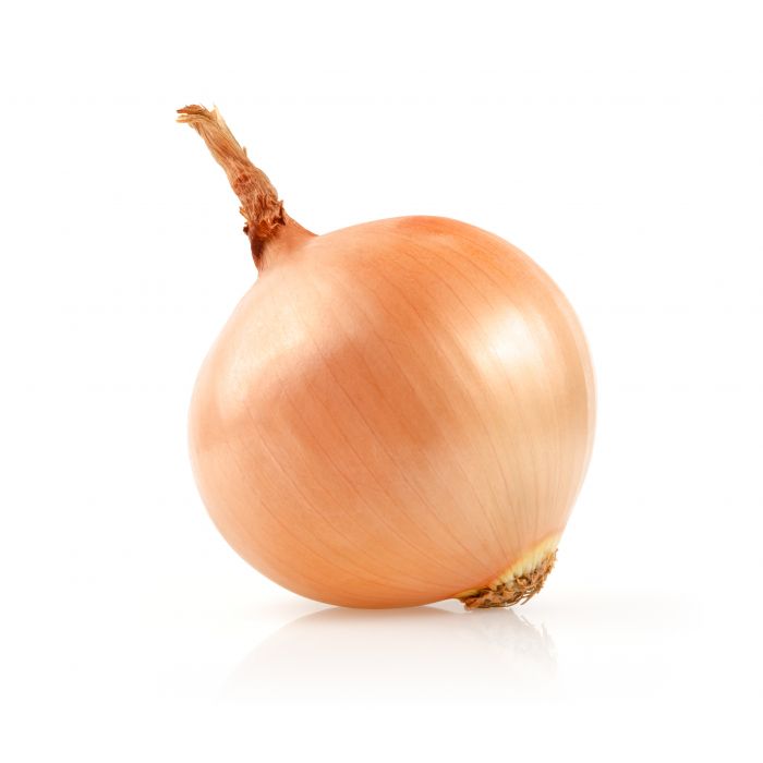 Organic Fresh Yellow Onion