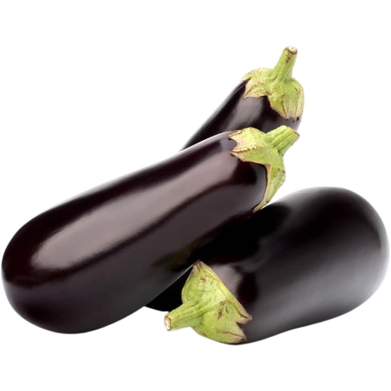 Organic Fresh Eggplant