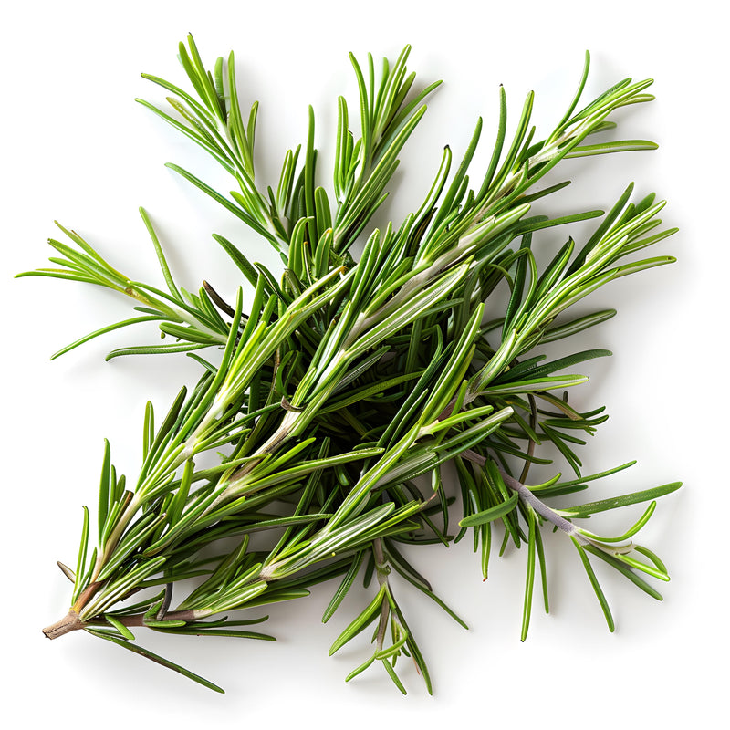 Organic Fresh Rosemary 150G