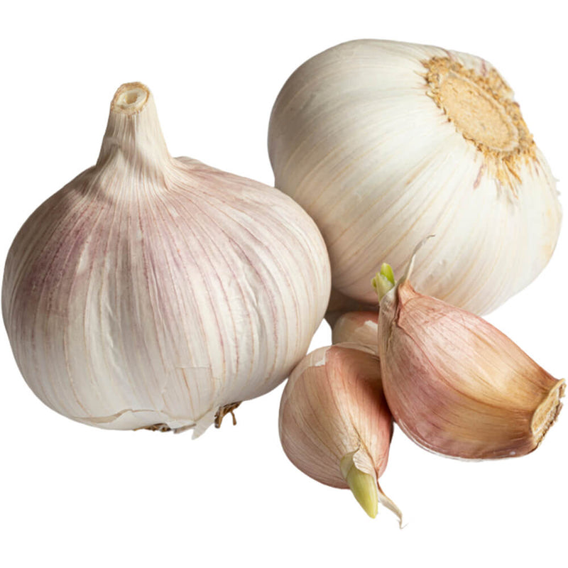 Organic Fresh Garlic