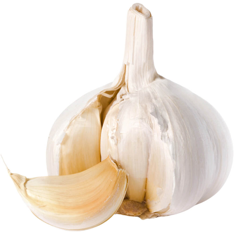 Organic Fresh Garlic