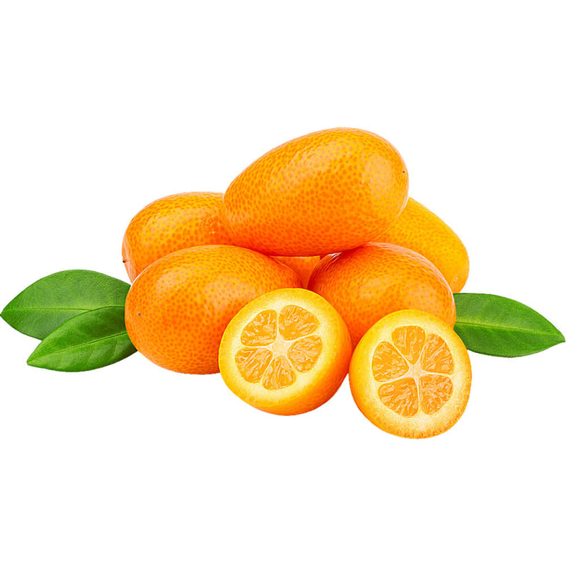 Organic Fresh Kumquats