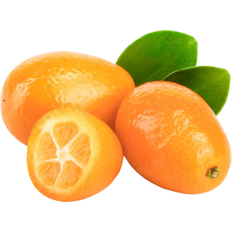 Organic Fresh Kumquats