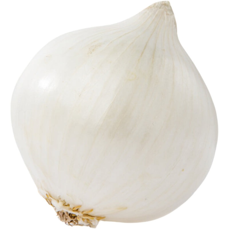 Organic Fresh Onion White