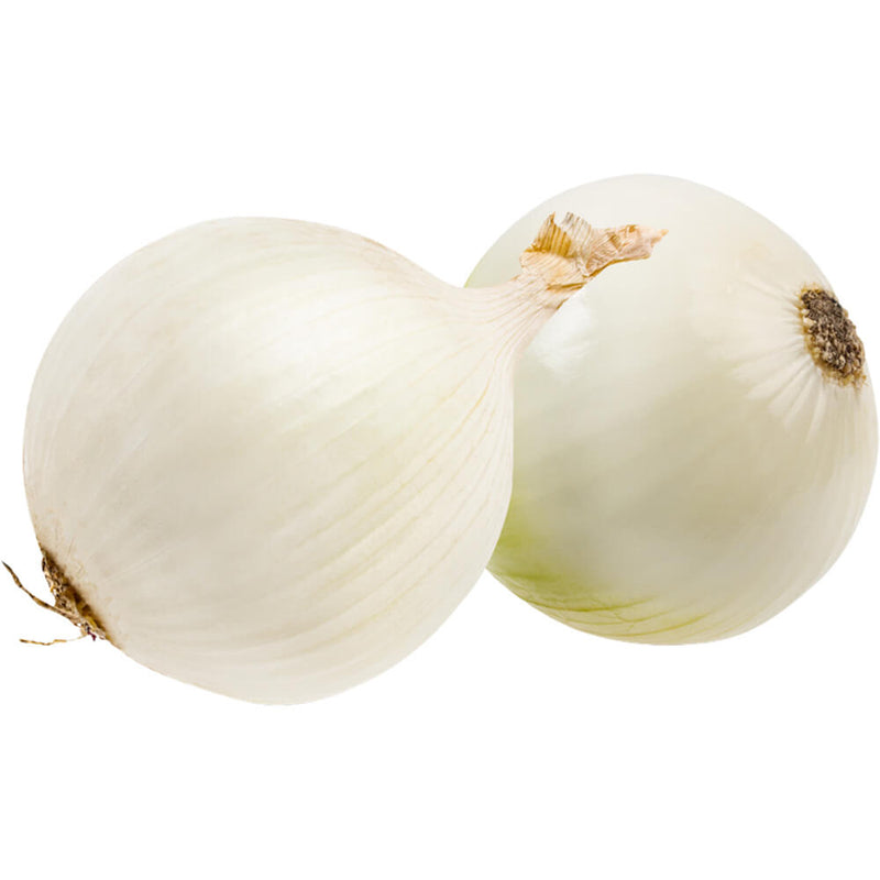 Organic Fresh Onion White