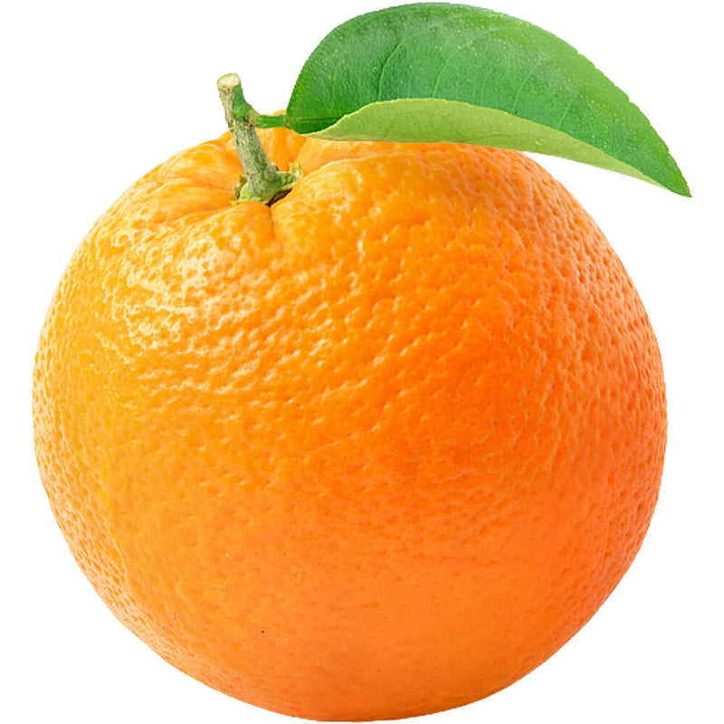 Organic Fresh Orange Valencia