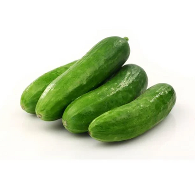 Organic Snack Cucumber