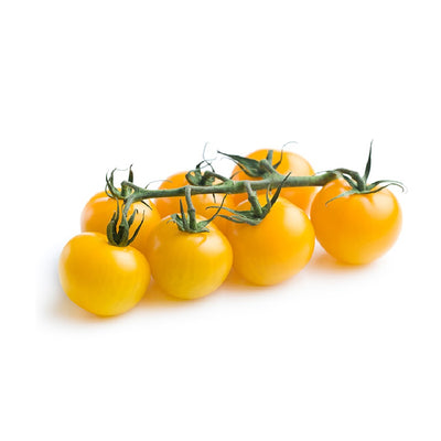 Organic Tomato Cherry Yellow