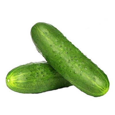 Organic Snack Cucumber