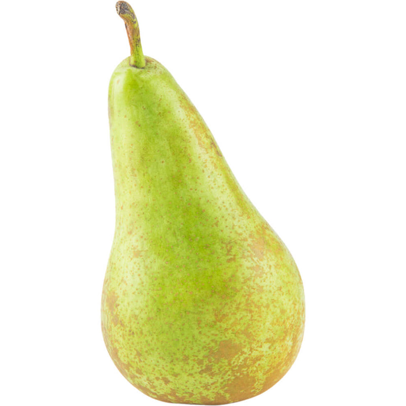 Organic Fresh Pear Conference