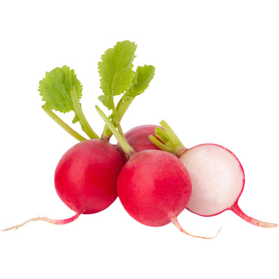 Organic Fresh Red Radish