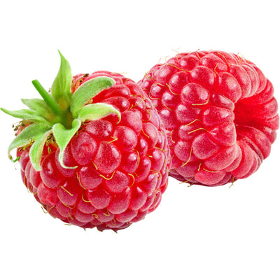 Organic Fresh Raspberry 170g