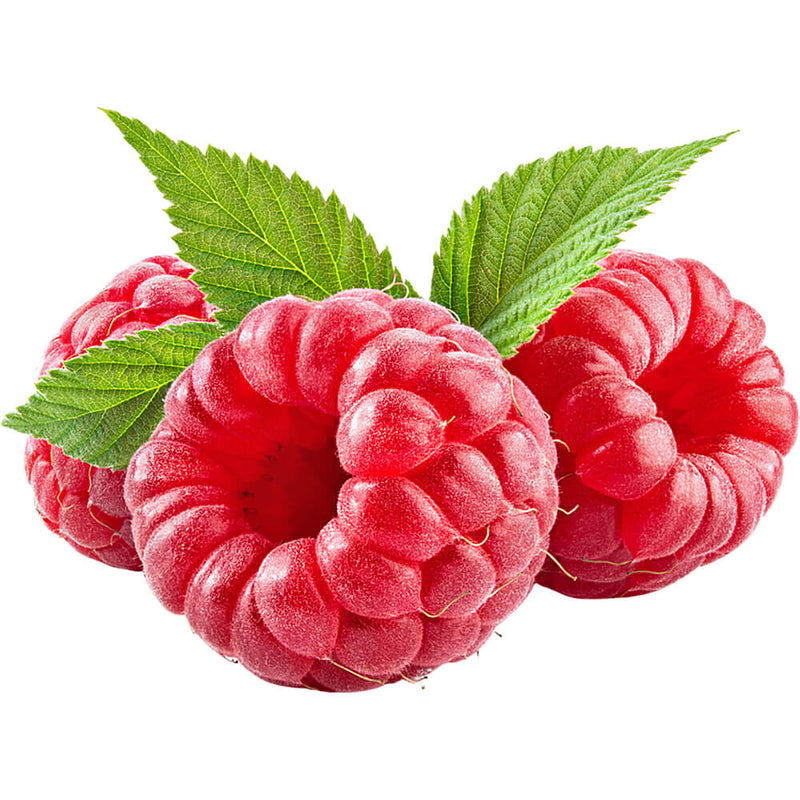 Organic Fresh Raspberries 125G