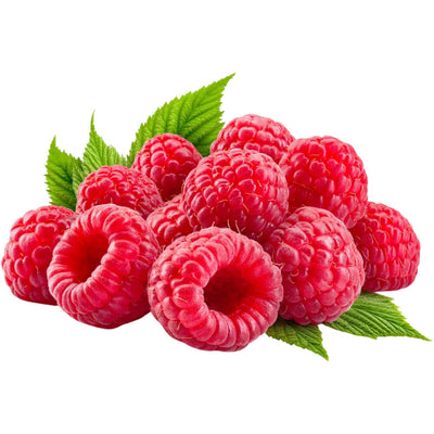 Organic Fresh Raspberries 125G