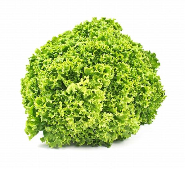 Organic Fresh Lollo Rossa Lettuce
