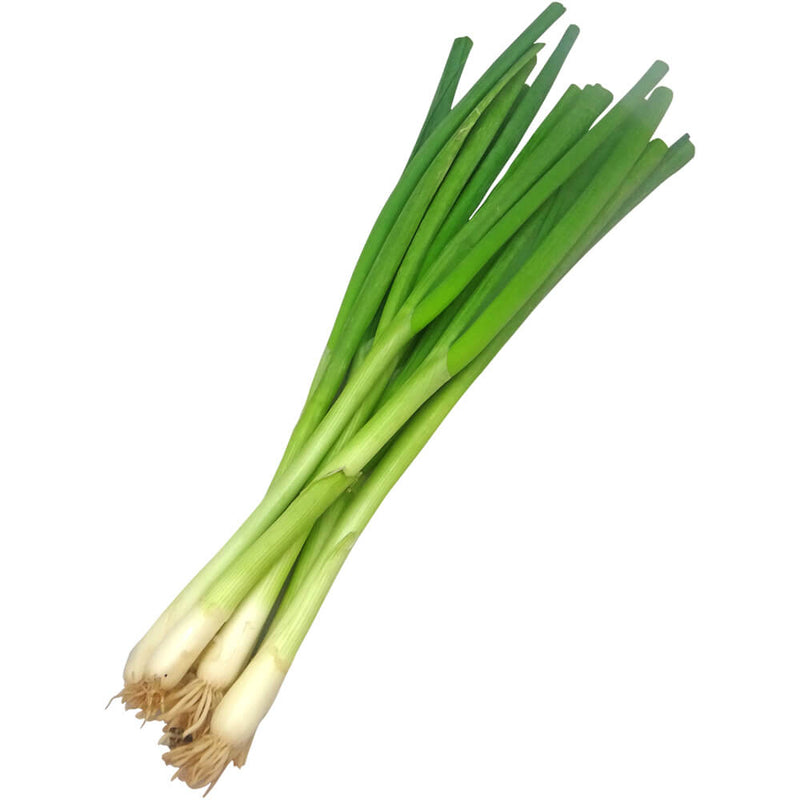 Organic Fresh Spring Onion 100g