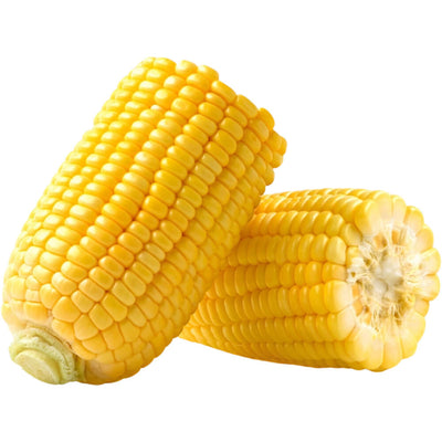 Organic Fresh Sweet Corn