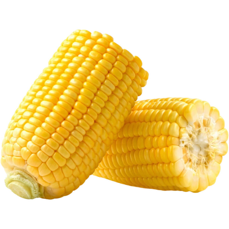 Organic Fresh Sweet Corn