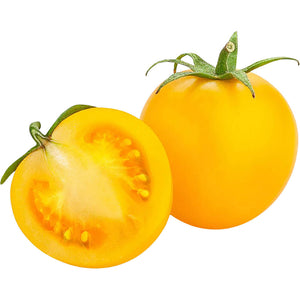 Organic Tomato Cherry Yellow