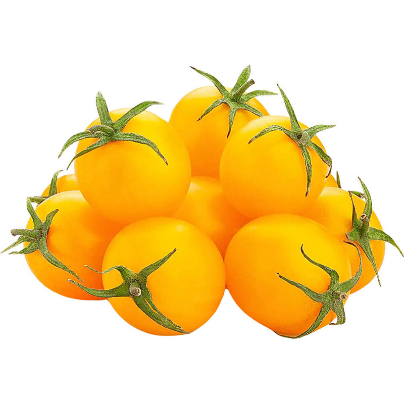Organic Tomato Cherry Yellow