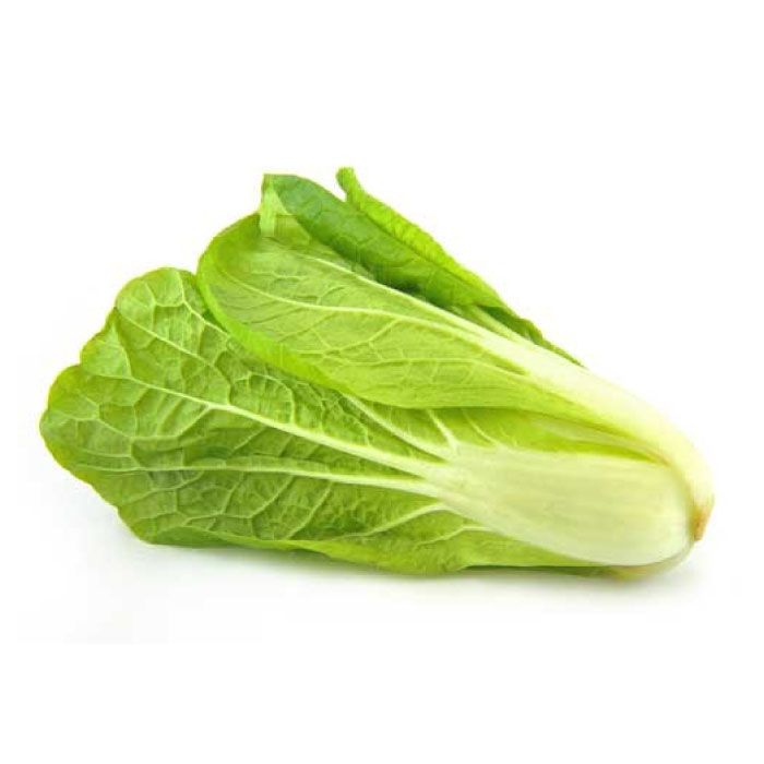 Romaine Lettuce