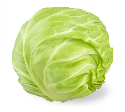 Organic White Cabbage