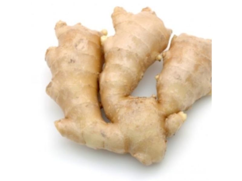 Organic Ginger India