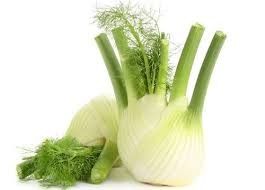 Organic Fennel Holland Kg